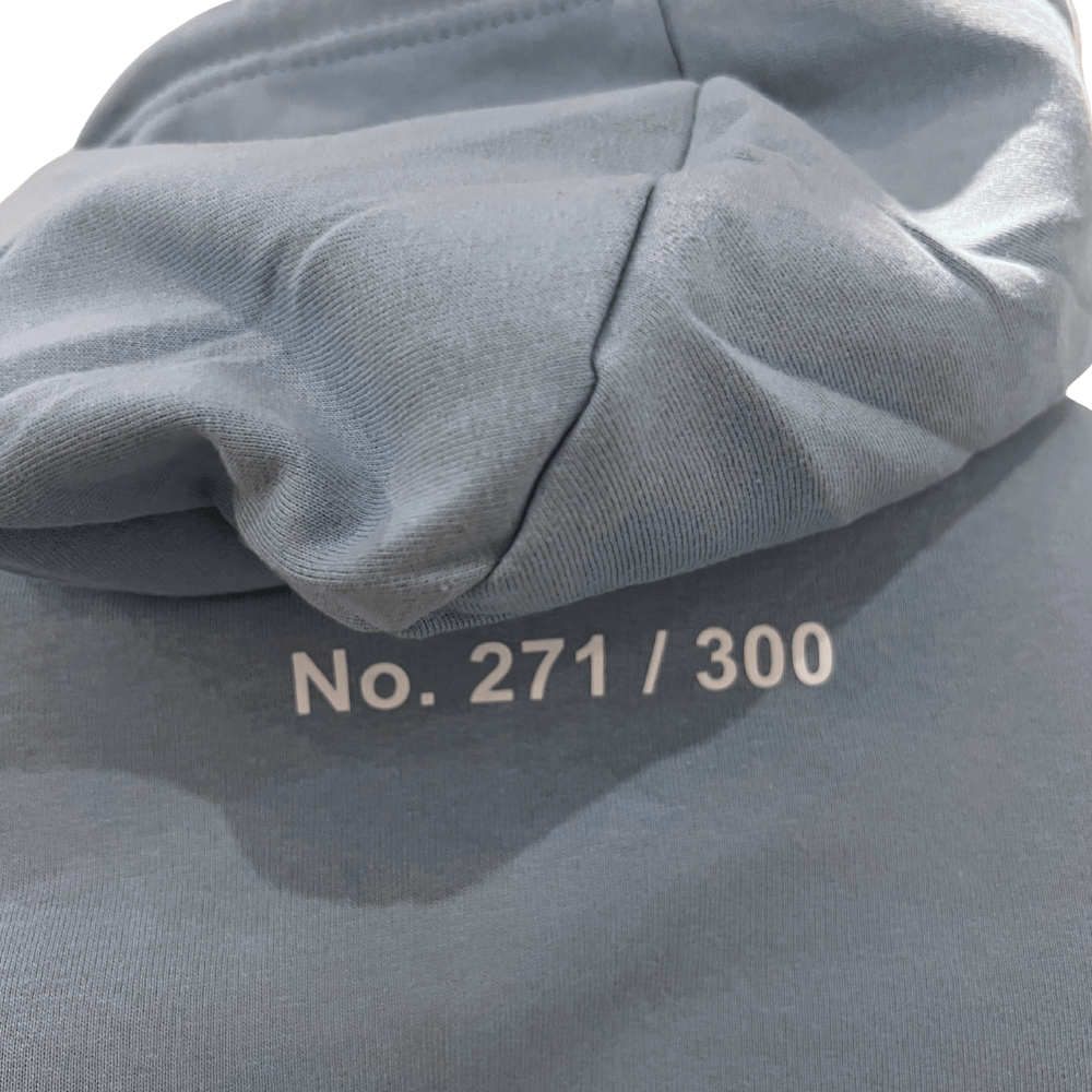 *Limited* "Brainrot" hoodie, Sky Blue - Billede 2